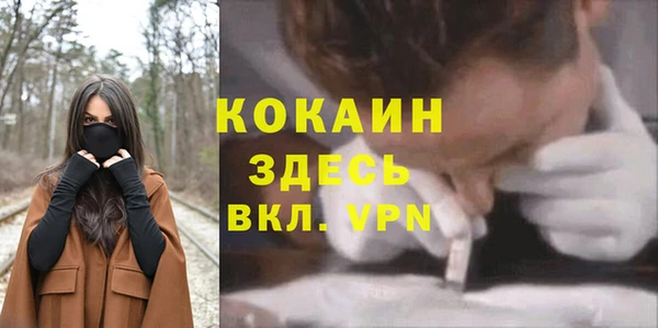 МДПВ Козельск
