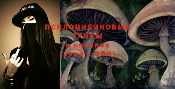 МДПВ Козельск